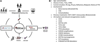 The relapsed acute lymphoblastic leukemia network (ReALLNet): a multidisciplinary project from the spanish society of pediatric hematology and oncology (SEHOP)